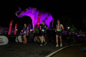 BIB: 
                            <button type="button" onclick="openModal(26534332)" class="btn btn-primary btn-sm float-right btn-popup" data-toggle="modal" data-target=".modal-high-quality">
                        <i class="fas fa-shopping-cart"></i> Add to Cart
                    </button>
                                            <button type="button" onclick="isThisMe(26534332, true)" class="btn btn-success btn-sm float-right btn-popup btn-isme hidden" data-toggle="tooltip" data-placement="bottom" title="นี่คือรูปของคุณใช่ไหม คลิกที่นี่เพื่อเอาเข้าอัลบั้ม">
                        <i class="fas fa-plus"></i> Add to album
                    </button>
                    <button type="button" onclick="isThisMe(26534332, false)" class="btn btn-warning btn-sm float-right btn-popup btn-isnotme hidden">
                        <i class="fas fa-ban"></i> Remove from album
                    </button>